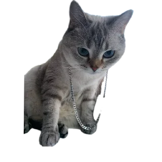 Sticker Сансито Паразито - 0