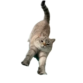 Sticker Сансито Паразито - 11