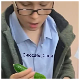 Sticker Саня пропер - 3