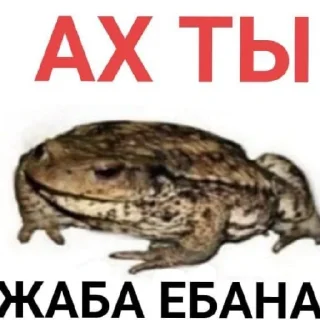 Стикер Саня лох - 7