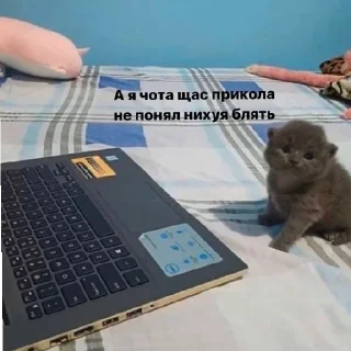 Стикер Саня лох - 9