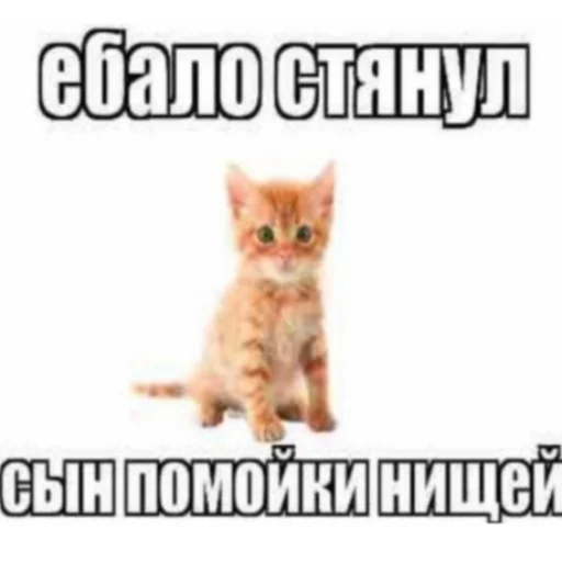 САНЗА ХАРАЩИЙ А АРАТА УРАД - человеческое лицо