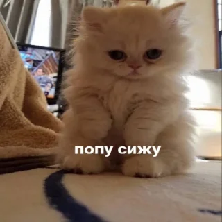 Стикер GhoulSSS - 9