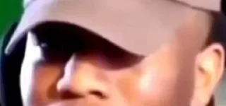 Sticker SarWonHed - 4