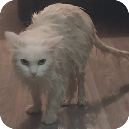 Sticker Sara_i_Loki - 1