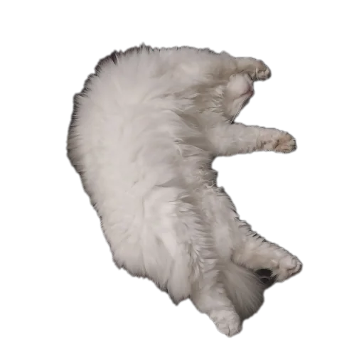 Стикер Sara_i_Loki - 1