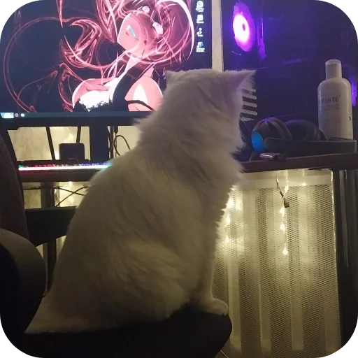 Стикер Sara_i_Loki - 1