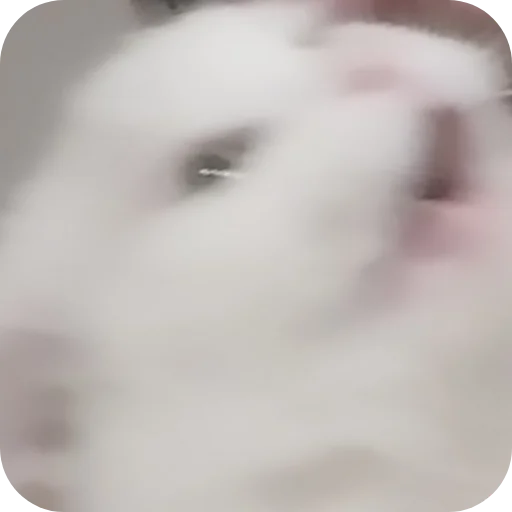 Стикер Sara_i_Loki - 1