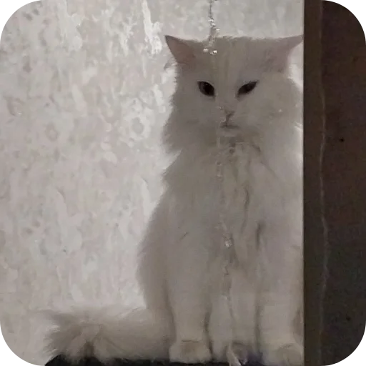 Sticker Sara_i_Loki - 1