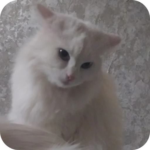 Стикер Sara_i_Loki - 1