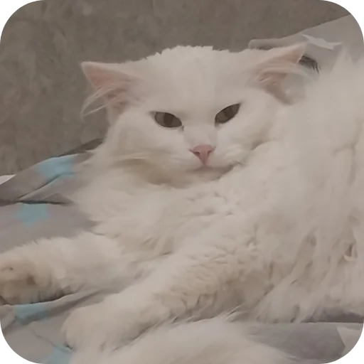 Стикер Sara_i_Loki - 1