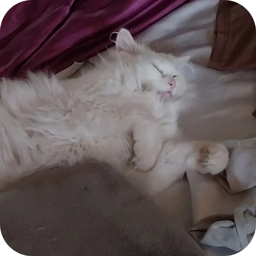 Стикер Sara_i_Loki - 1