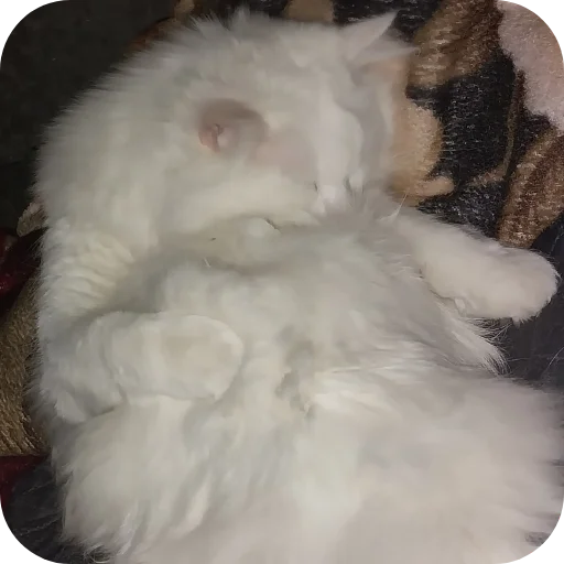 Стикер Sara_i_Loki - 1