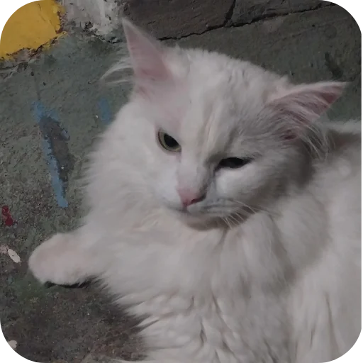 Sticker Sara_i_Loki - 1