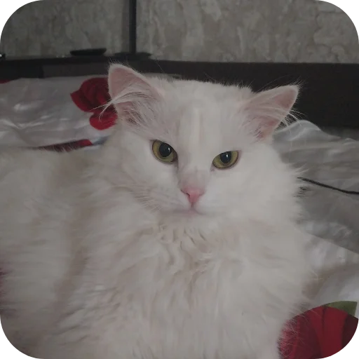 Sticker Sara_i_Loki - 1