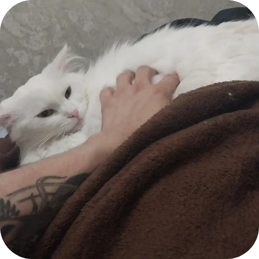 Sticker Sara_i_Loki - 1