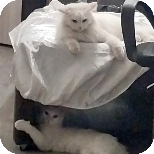 Стикер Sara_i_Loki - 1