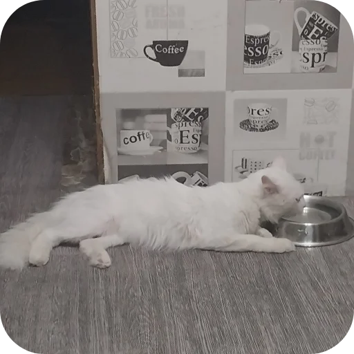 Sticker Sara_i_Loki - 1