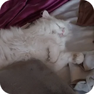 Sticker Сара и Локи - 11