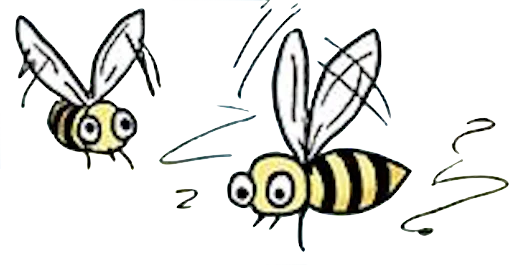 бабочка насекомое мотыльки и бабочки