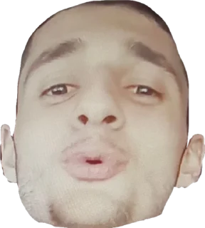 Sticker Саргиска - 11