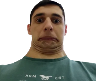 Sticker Саргиска - 4