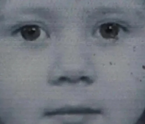 человеческое лицо бровь щека