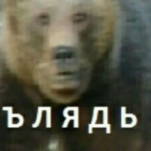 Sticker @temklov @temklov @temklov :: @fStikBot - 3