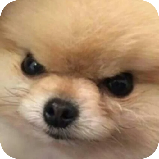 Стикер Sas1982 - 1