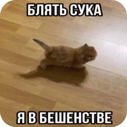 Стикер Sas1982 - 1