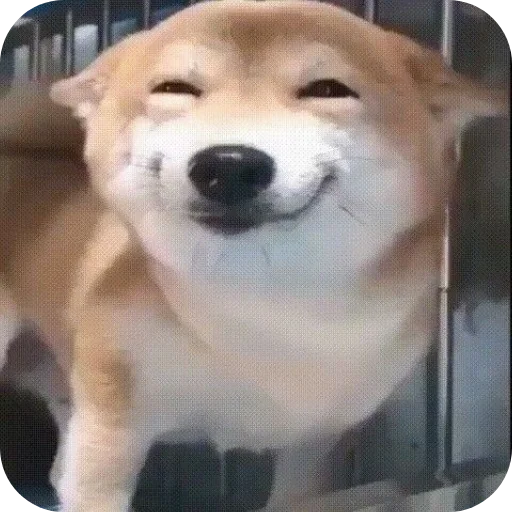 Стикер Sas1982 - 1