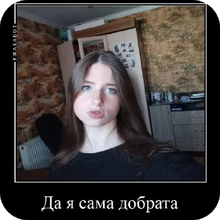 Sticker Сашка и остальные знакомые) - 9