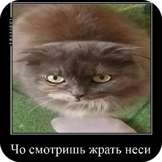 Sticker Сашка и остальные знакомые) - 5