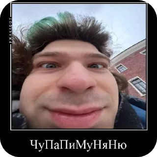 Sticker Сашка и остальные знакомые) - 8