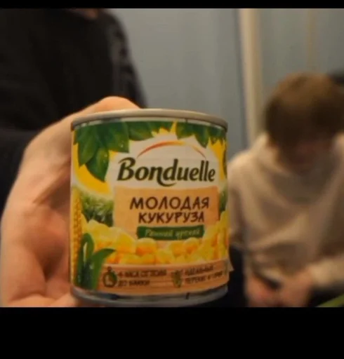 Человек жестяная банка комнатный