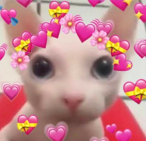 бинғұс [бингус] :: @fStikBot - toy