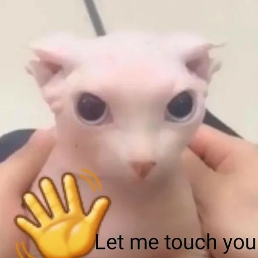 кошка игрушка мультфильм