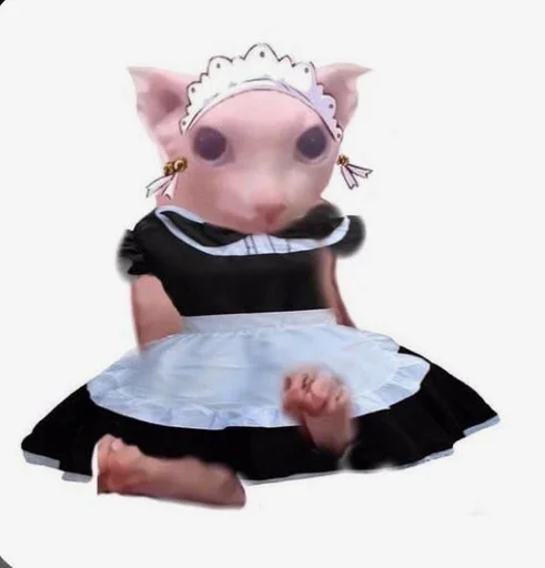 мультфильм игрушка млекопитающее