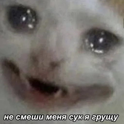 животное СМС млекопитающее