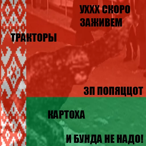 Sticker SAUSAGE PACK - 6