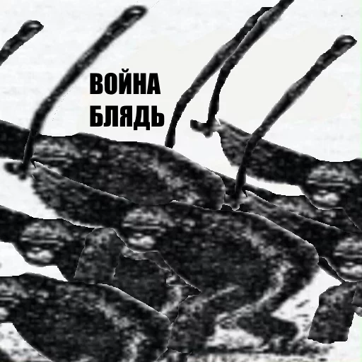 Sticker SAUSAGE PACK - 1