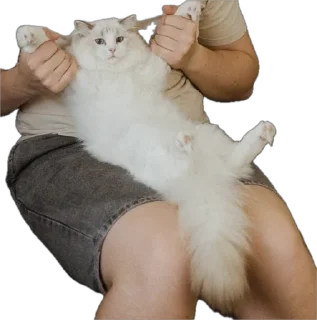 Стикер Sauvie - 7