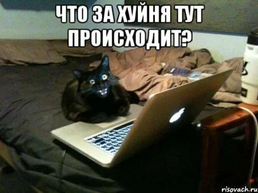 Стикер Save_113 - 1