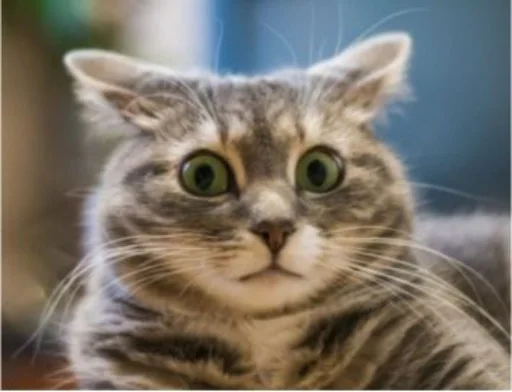 Sticker Save_113 - 1