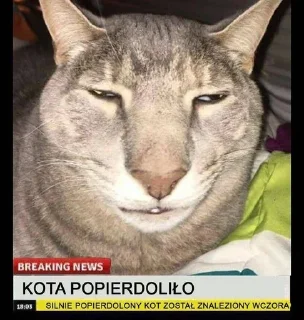 Стикер save - 0