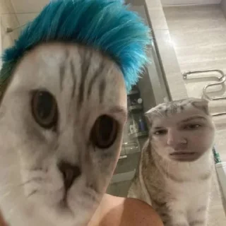 Sticker Больше стиков тут: @stikery4 - 4