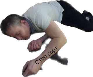 Sticker СберСила - 3