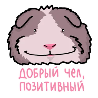 Sticker Муд 14+ - 5