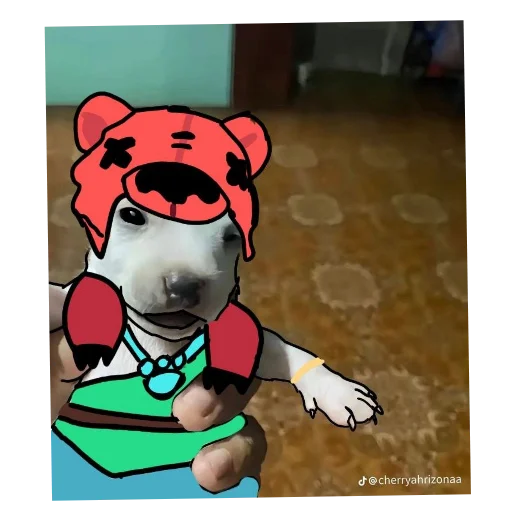 Сбки туалет старс - 