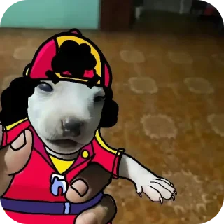 Sticker Сбки туалет старс - 6